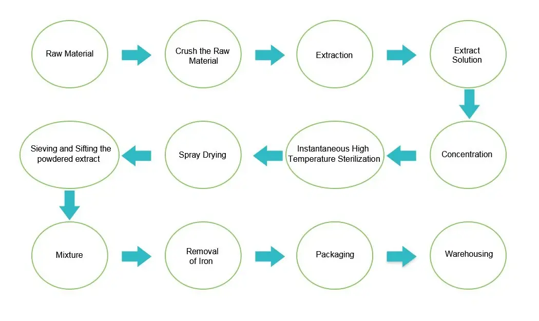 Rhodiola Rosea Extract Salidroside Flow Chart.webp